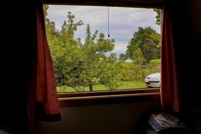 Best Window Replacement Contractors in Athens, TN